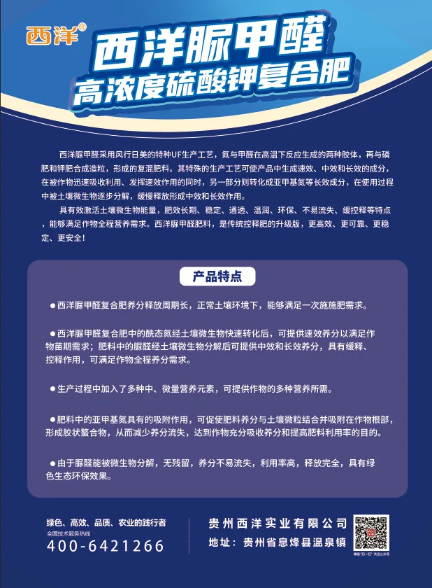 84667940.webp 脲甲醛-单页-2.webp