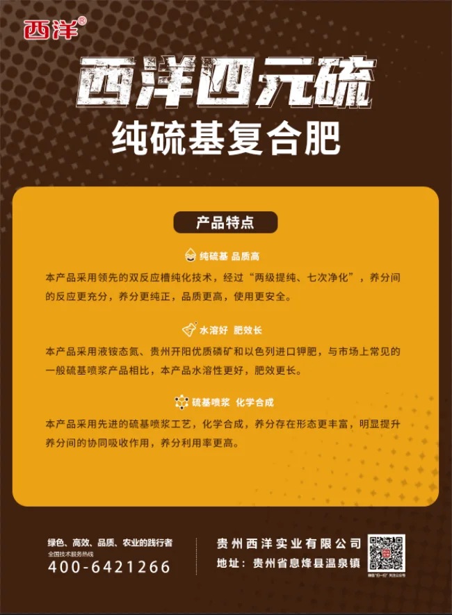 四元硫-单页-1.webp