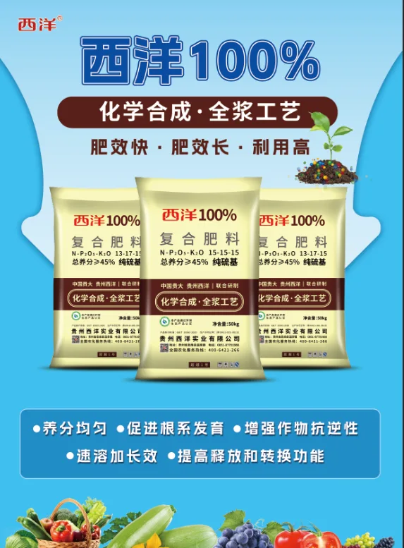 13579430.webp 西洋100%单页.webp