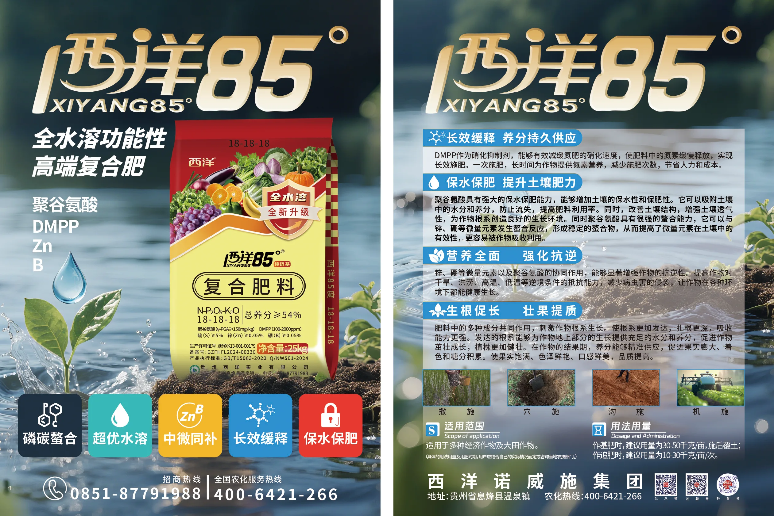 西洋85°单页.webp