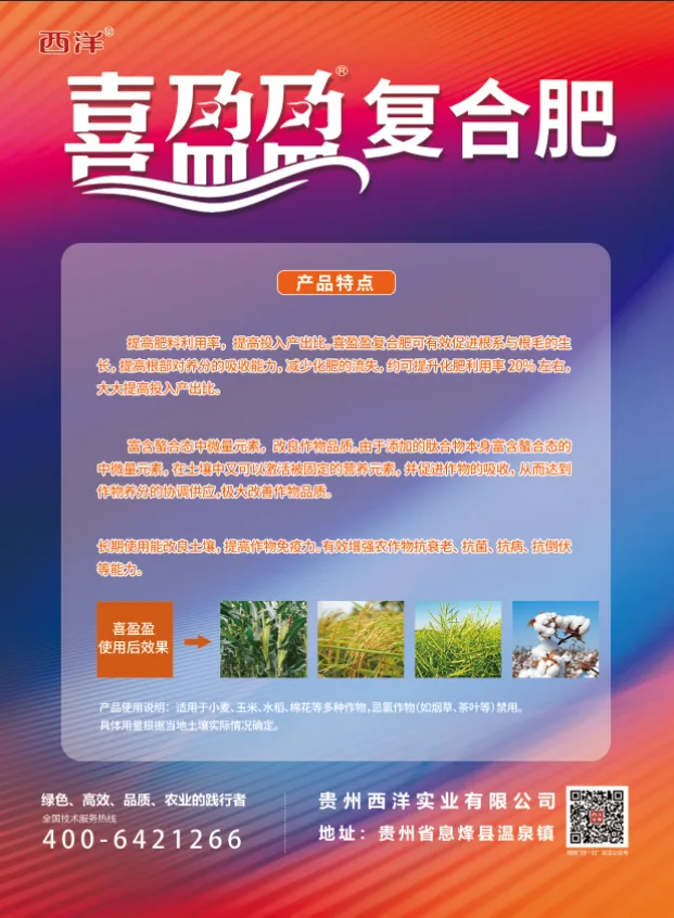 喜盈盈单页-1.webp