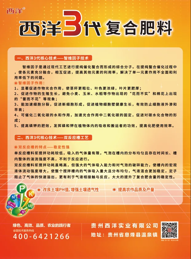 西洋3代单页.webp