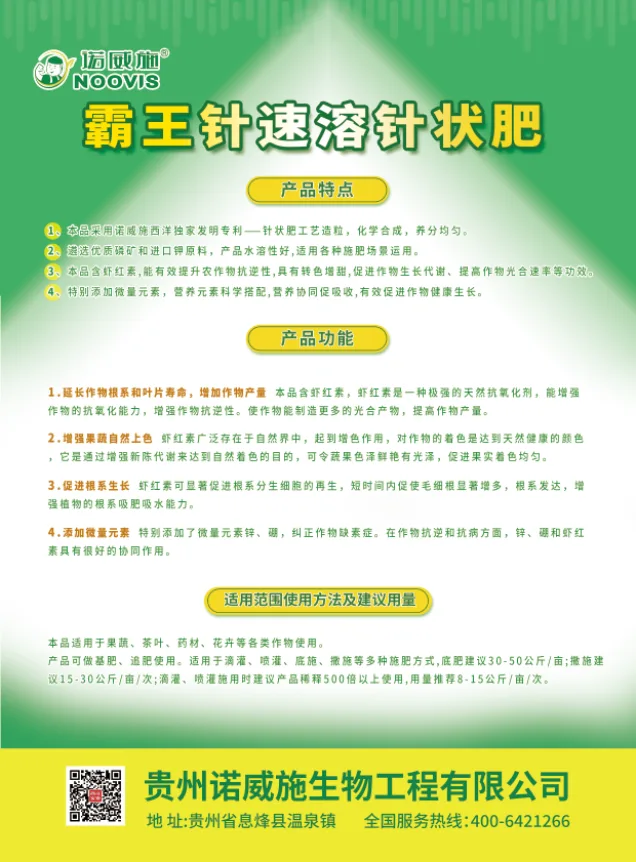 单页.webp