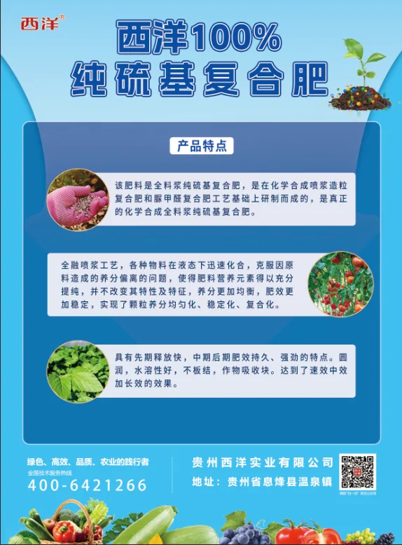 53403172.webp 西洋100%单页-1.webp