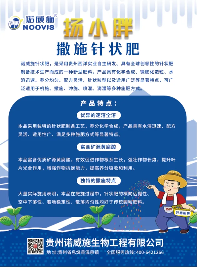 洋小胖单页-背面 (2).webp
