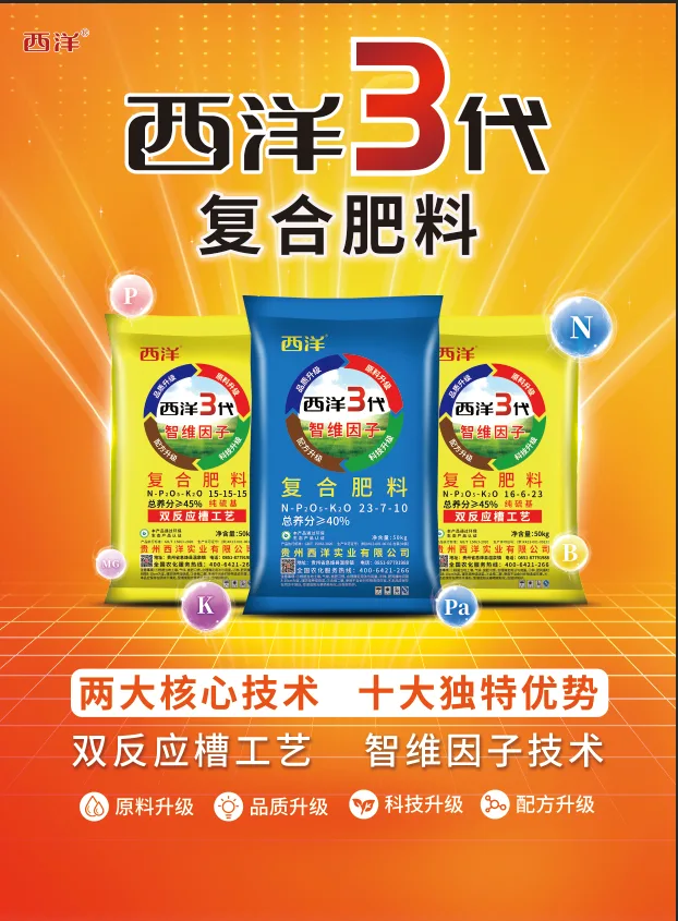 西洋3代单页-1.webp