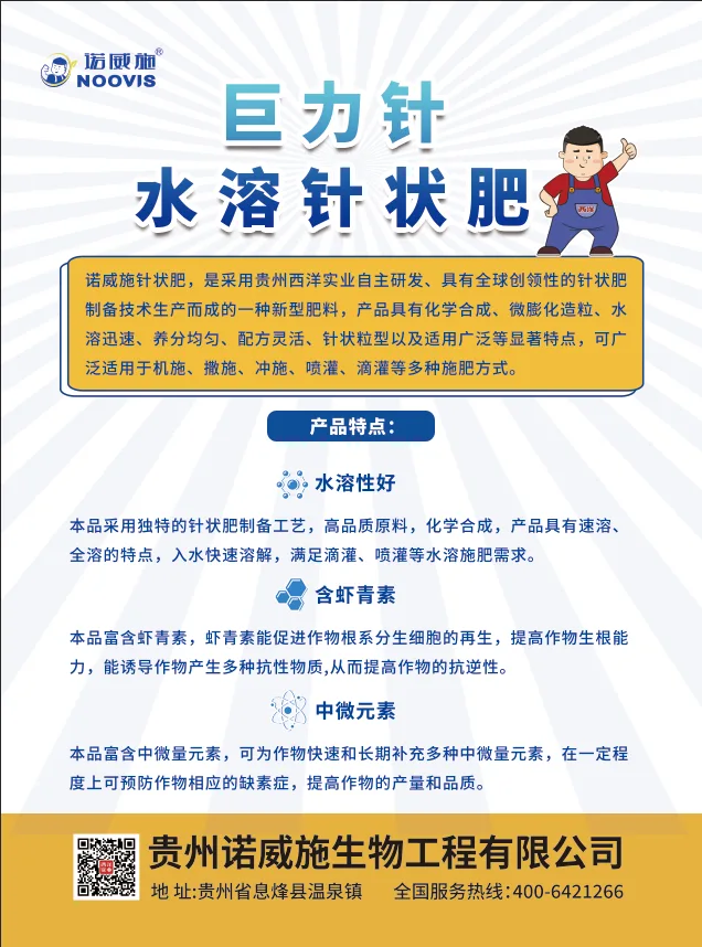 聚能针-背面.webp