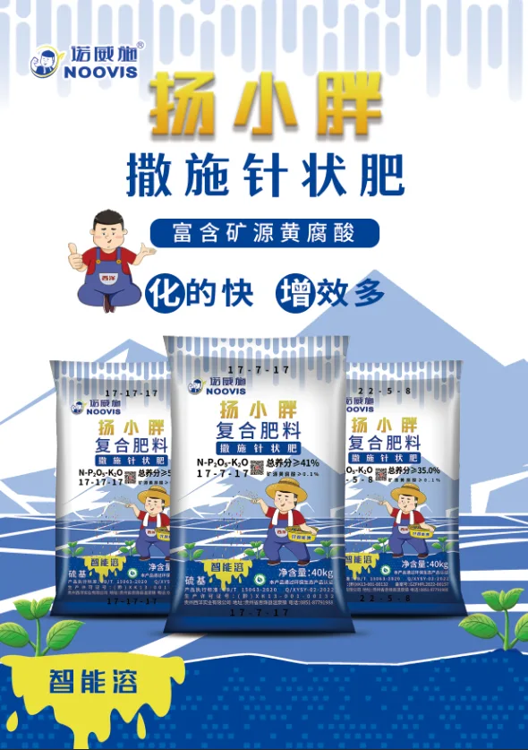 洋小胖单页-正面- (2).webp