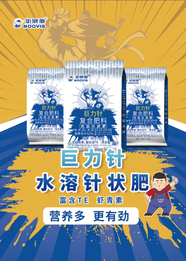 聚能针-正面 (2).webp