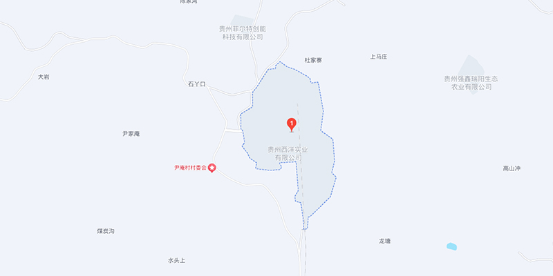 西洋.jpg