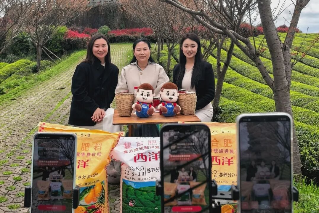 百位品牌共建大使集结！西洋「星火计划」正式启动