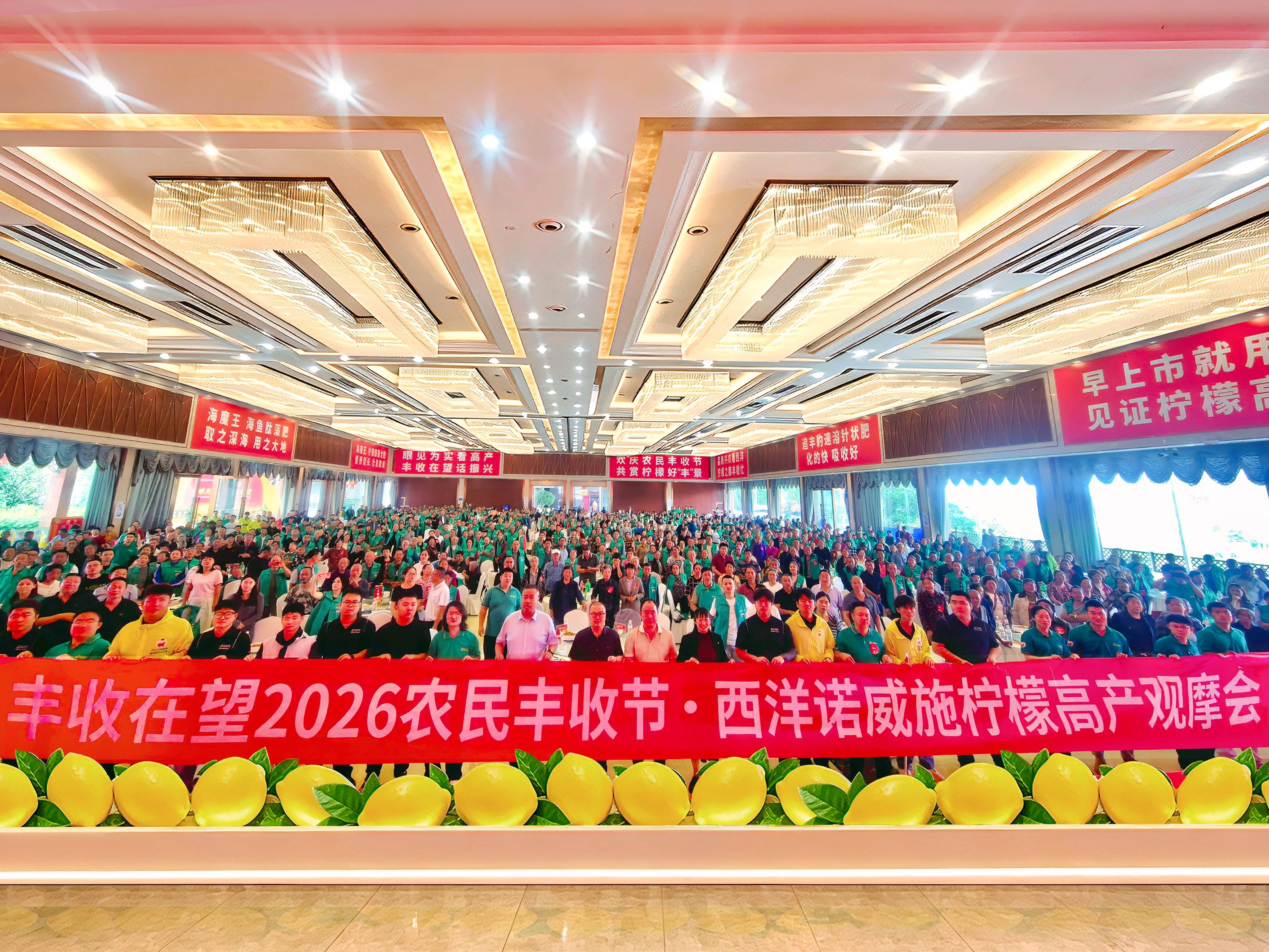 千人庆丰收！西洋诺威施柠檬高产观摩会圆满举行