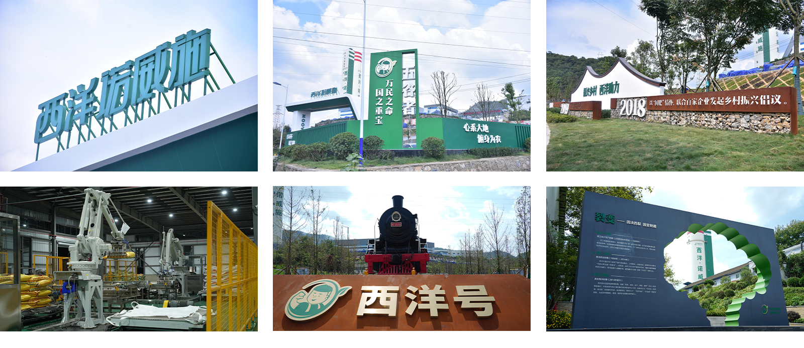 1775721319821930.jpg 西洋.jpg