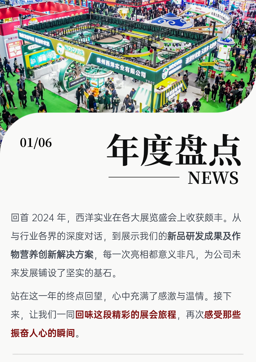 电子简报新闻资讯头条报告长图.png